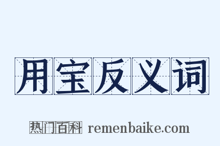 用宝反义词是什么意思的图片